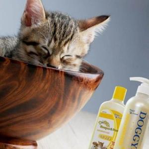 샴푸 린스 어린 애견용 목욕 모발영양 세정 청결 실용적인 피부보호 케어