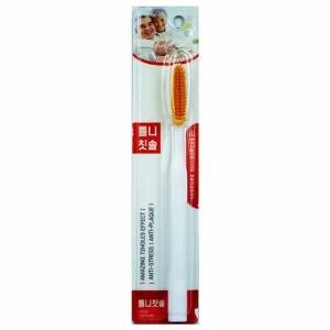 틀니청소 칫솔 10개입 (WE10982)