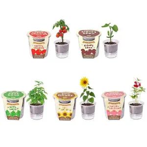 [셀러에이드]자동급수 저면관수 식물재배기 5종 씨앗 화분 세트 키우기쉬운식물