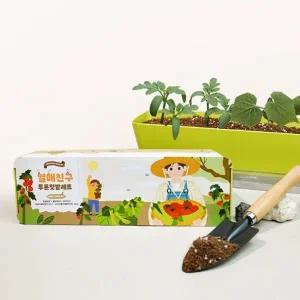 [셀러에이드]교과연계 사각화분 배양토 씨앗 텃밭 세트 베란다텃밭화분