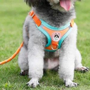 베이직 강아지 가슴줄 목줄 H형 하네스 리드줄 세트 강아지가슴줄