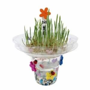 보리새싹 잔디 부케 만들기 식물 키우기 재료 1인용 신혜경쌤