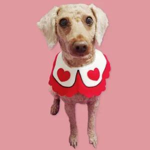 턱받침 반려동물 B 대 애견스카프 고양이스카프