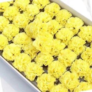 어버이날 어린이집카네이션 조화꽃 비누향기