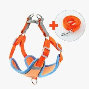 강아지 하네스 세트 XL 훈련 리드줄세트 스트랩 산책