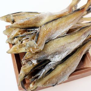 조미두절노가리 500g (中) 노가리 반건조노가리 조미된 제품 쪽빛누리