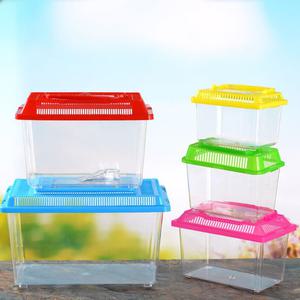 곤충채집통 관찰통 곤충 관찰일지 채집상자 박스 체험학습 사슴벌레 햄스터 플라스틱 어항