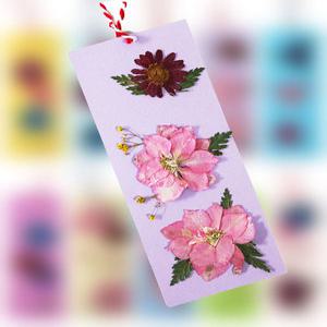 압화 책갈피 만들기세트(연보라) 압화재료 꽃책갈피 만들기재료