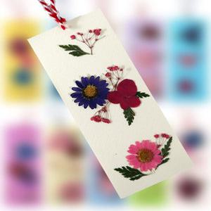 압화 책갈피 만들기세트(미색) 압화재료 꽃책갈피 만들기재료