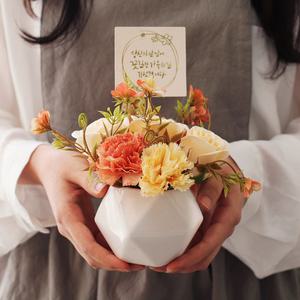 벨라 카네이션 로즈 화분 투명백 세트