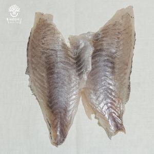 삼천포 해녀횟집 싱싱 우럭회 한마리 필렛