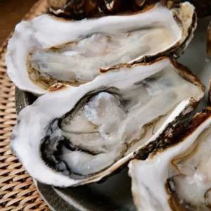 [춘백이네어부장터] 하프셀(반깐굴) 30미 내외