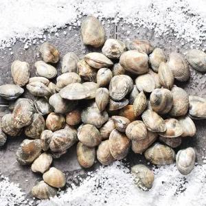 바지락총각의 하전갯벌 해감 참바지락1kgx10팩