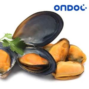 갤러리아 [온도씨]국내산 홍합살 1kg