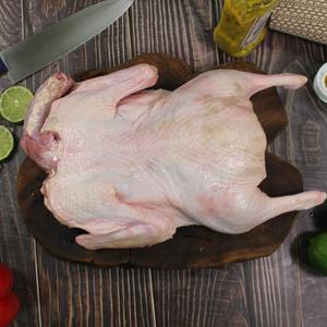 통오리 2kg 이상 대한민국맛집 백숙용 오리고기