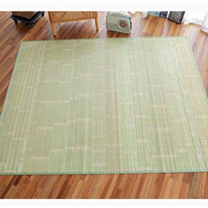 [NS홈쇼핑]모두家_ 청대나무 돗자리 (대)[29727749]