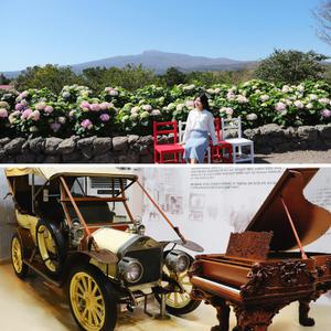 제주 휴애리+세계자동차피아노박물관 / 제주 어린이관광지 이색체험