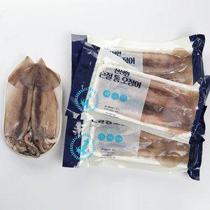 자연산 손질 통오징어 260g x 3팩 (6마리)
