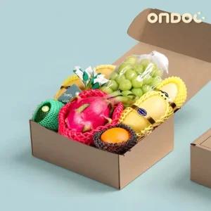 [온도씨]종합과일선물세트 2호(샤인+망고+용과+아보카도+오렌지/총2.5kg내외)