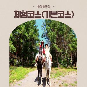 [제주]기본코스 초보자 & 어린이체험 (송당승마장) / 제주승마  /  어린이  /  이색체험 / 가족여행/  바로사용