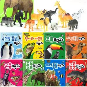 애플비 곤충 동물 백과사전(모형포함) / 자연 과학