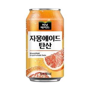 미닛메이드 자몽에이드 탄산 355ml 24캔