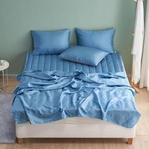 [RGL6Q856]더크린 샤이니 풍기인견 홑이불패드세트 SS블루