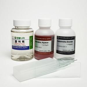 물벼룩관찰세트 EDU-22269 / 과학체험학습키트