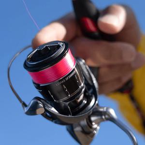 다이와 24 루비아스 LT2000S 볼락 에깅릴 부시리 농어릴 한국다이와정공