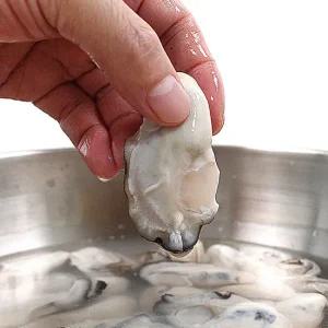 [삼해진미] 산지직송 통영 생굴 세척굴 1kg 굴수하식수협 도매인