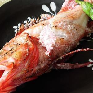 국내산 열기 불볼락 1kg 8-9미 내외