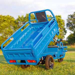 삼륜 트럭 농업용 소형 팜 전기 오토바이 대형 바이크 전동 화물