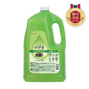 자연퐁 솔잎 3.92L 1개