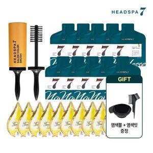 노블레스 헤어컬러 염색제 10개+살롱컬러브러쉬 다크브라운 밀크브라운 와인브라운)