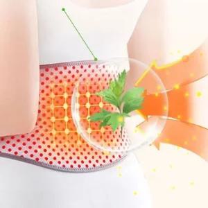 허리보호대 복부 허리 찜질 자가발열 온열 밴드 복대 (WFHVQ2W)