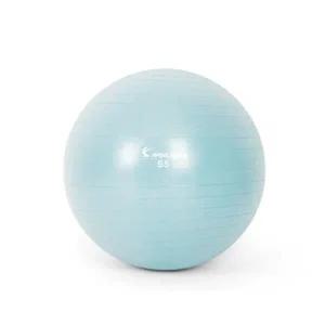 마사지볼 55cm 더스티블루 스트레칭 밸런스볼 짐볼-WFHP9YJ