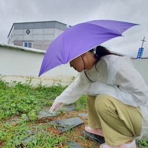 소형 퍼플 머리에쓰는양산 미니양산 양산모자 낚시