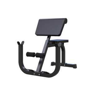 이두근 암컬 벤치 의자 팔운동 피트니스 헬스장 가정용