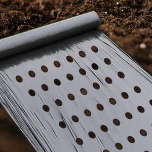 마늘 비닐 양파 유공 7구 제초 잡초매트 텃밭 농업용 필름