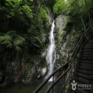 [KTX+영주관광택시]힐링 영주! 소백산국립공원+부석사+무섬마을