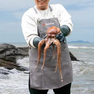 픽댓 통영 산지 제수용 활 돌문어 1미 1.5kg