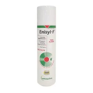 베토퀴놀 엘라이신 캣전용 영양제 100ml