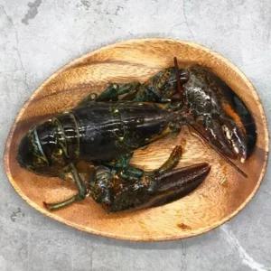 캐나다 활 랍스타 500g 1미
