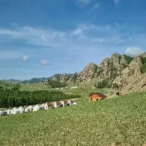 [밤출발]몽골/테렐지 5일 #현대식게르[2인1실]#이지트레킹#겨울여행