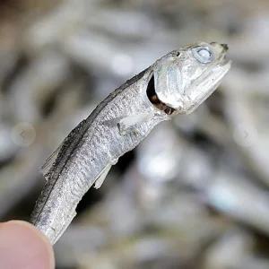 VB 다시멸치 육수용멸치 300g 멸치세트 명절 선물세트 멸치선물 멸치선물세트 추석선물 건멸치 국거리 명절선물 쇼핑백포장