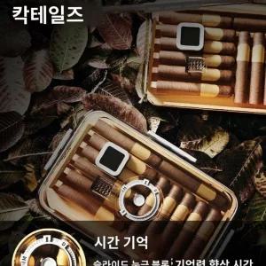 케이스 시가휴미더 휴대용 시가 박스 나무 입문용 50척