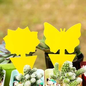 초파리 트랩 30p 화분 파리 퇴치 끈끈이 나방 트랩