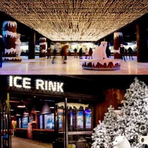 [대구] 이월드 83타워 아이스링크 10월