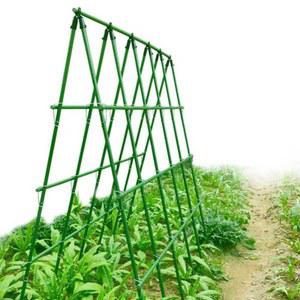 오 지대 텃밭 화단 지주대 길이1 2m 패션프루트 고춧대 나무 120x25CM 묘목