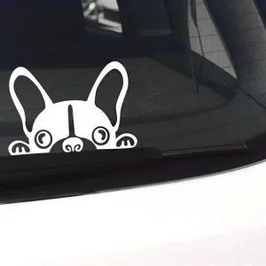 희망S 페리토린다 차량용스티커   초보운전 자동차 초보운전 캐릭터스티커